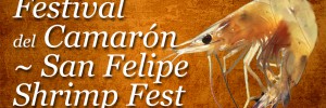 san felipe shrimp festival