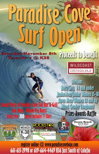 paradise cove surf poster