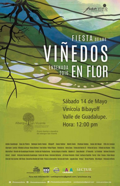 vinedos en flor