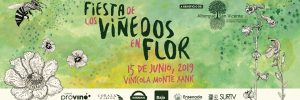 vinedos_en_flor_2019